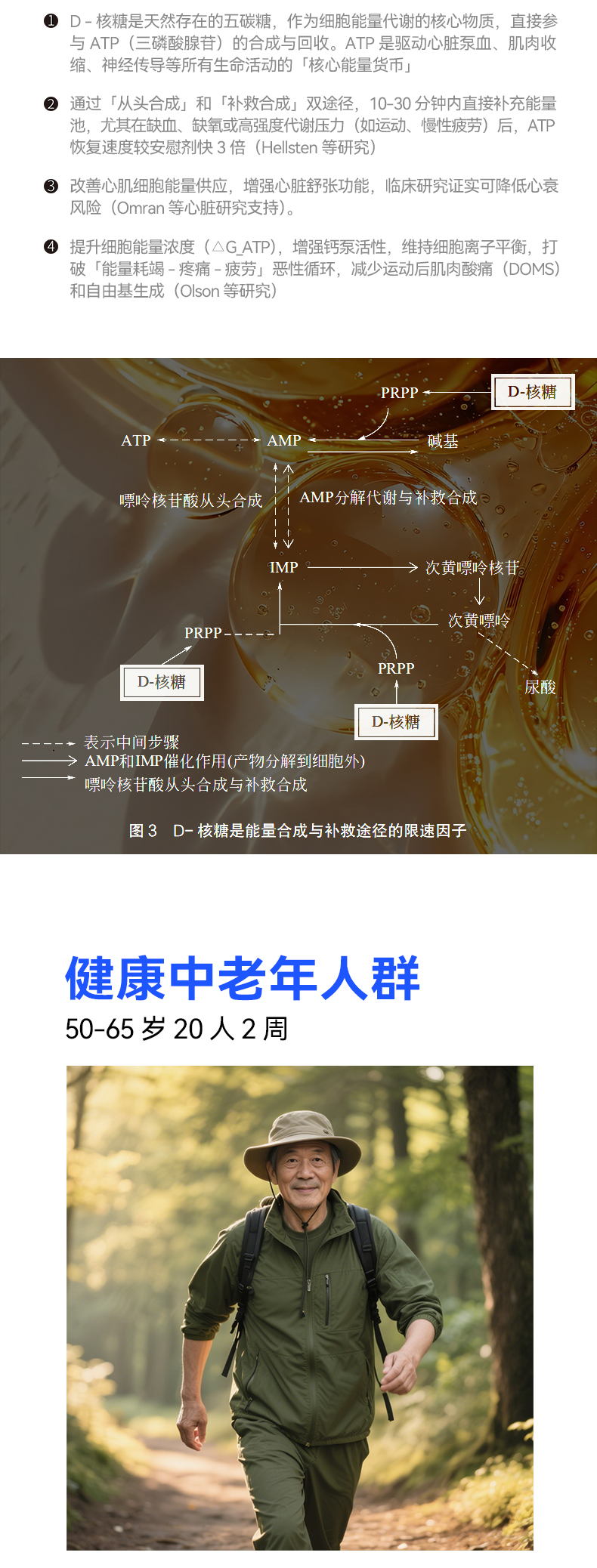 动力博士D-核糖能量粉（能量粉*2+软糖*1）